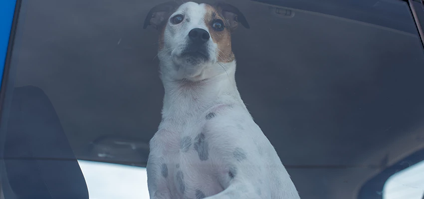 Car Lockout Solutions in Clayton, California